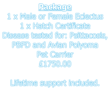 Package 1 x Male or Female Eclectus 1 x Hatch Certificate Disease tested for: Psittacosis, PBFD and Avian Polyoma  Pet Carrier £1750.00  Lifetime support included.